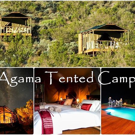 Agama Tented Camp Garies Екстер'єр фото