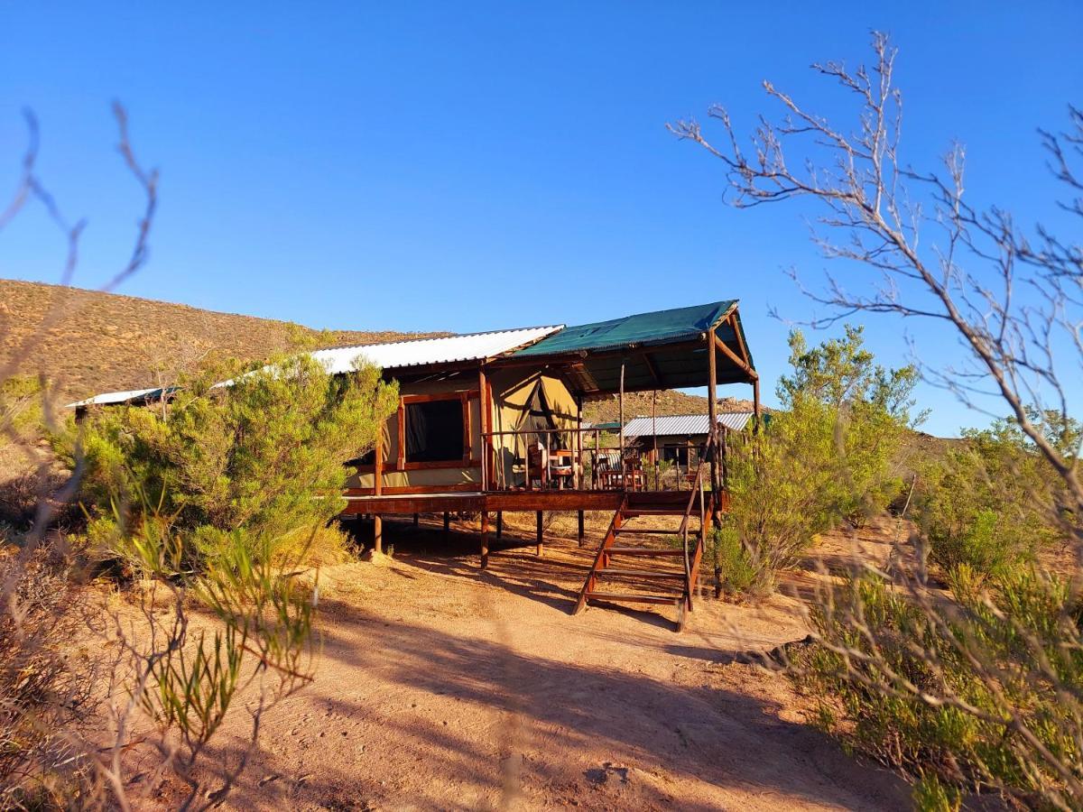 Agama Tented Camp Garies Екстер'єр фото