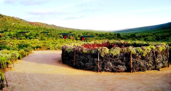 Agama Tented Camp Garies Екстер'єр фото