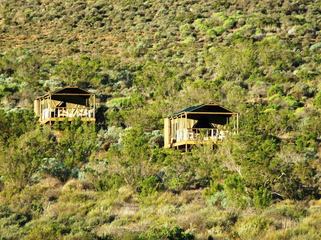 Agama Tented Camp Garies Екстер'єр фото
