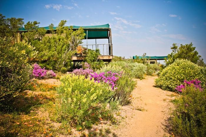 Agama Tented Camp Garies Екстер'єр фото
