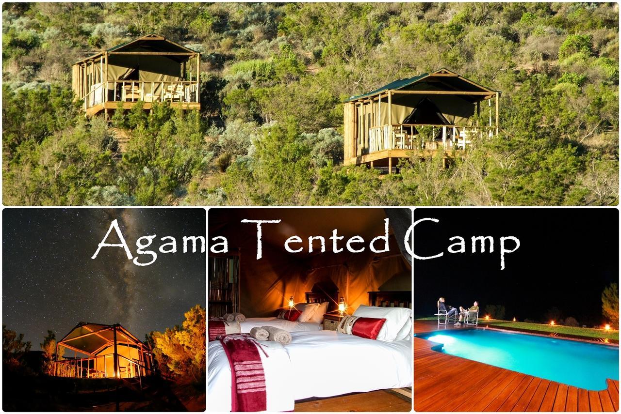 Agama Tented Camp Garies Екстер'єр фото
